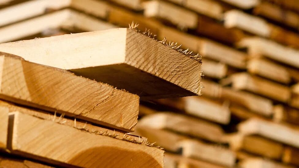 Sawn timber planks stacked at Lala G Timber Merchant in Lahore